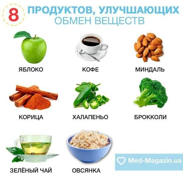 Как восстановить метаболизм и обмен веществ в организме человека. Продукты усиливающие обмен веществ в организме человека. Как повысить обмен веществ. Как ускоритьметоболизьм.