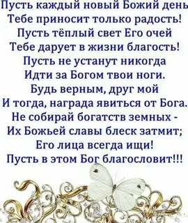 Жизнь дарована богом