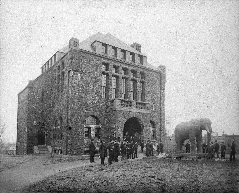 Русские павильоны на выставке в париже 1889. Русский павильон на всемирной выставке в париже в 1889 году. Музей истории лефортово. Музей имени рериха. Третьяковская галерея 1892.