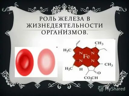 Общее железо это