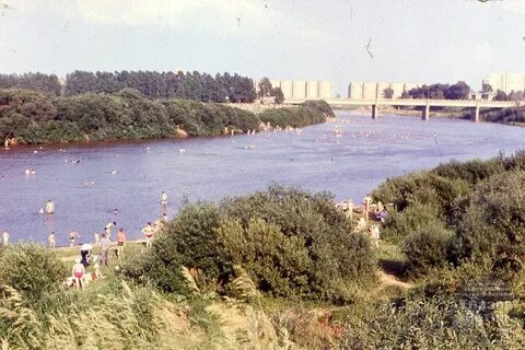 Глазов фишинг