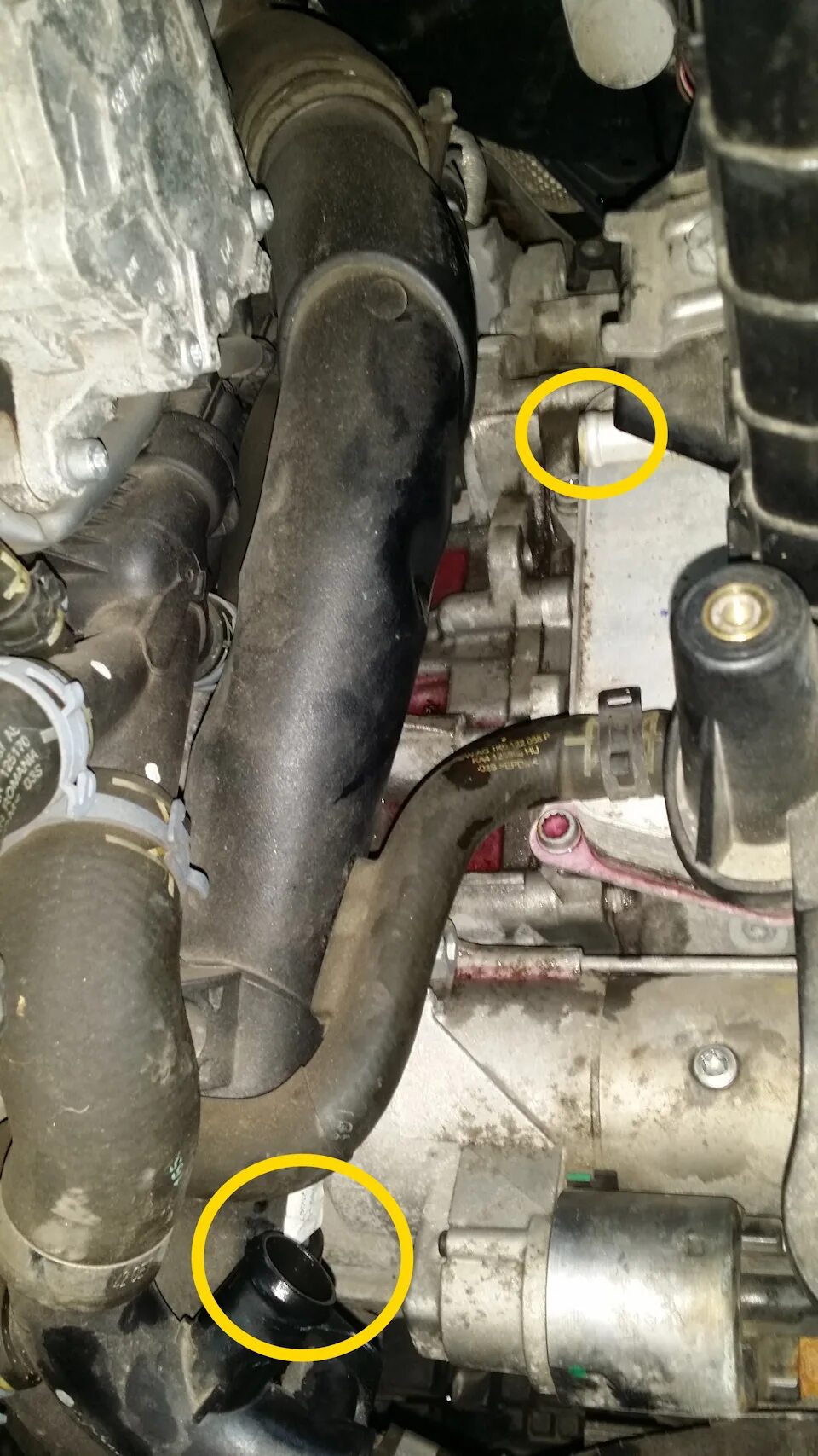 Термостат на ларгус 8 клапанов двигатель ваз. Как поменять термостат на ларгусе. Термостат лада ларгус 8 клапанов двигатель ваз. Термостат лада ларгус двигатель рено. Замена термостата лада ларгус 8 клапанов.