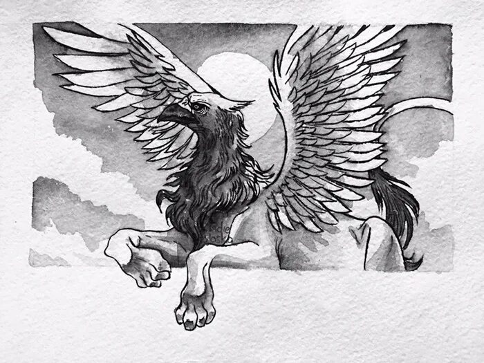 Грифон тату графика. Комета геленджик сочи расписание. Черно белые тату грифонов. Мифологические существа славян грифон. Грифон расписание.