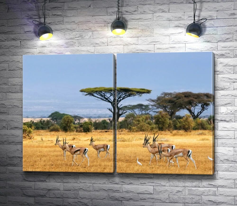 Сафари маслом. Сафари живопись. Картина маслом сафари. Сафари живопись. Африканские пейзажи маслом.