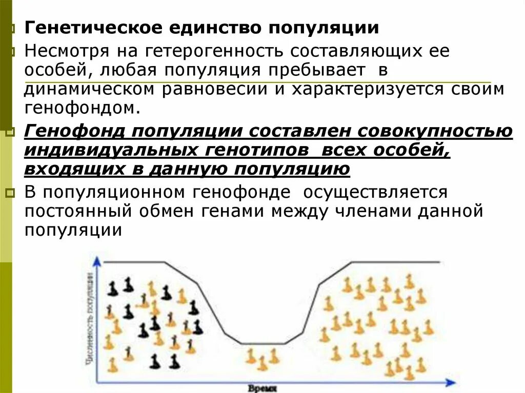 Генетическое единство популяции. Генетическая структура популяции. Популяция структура популяции. Генетическое равновесие популяции это.