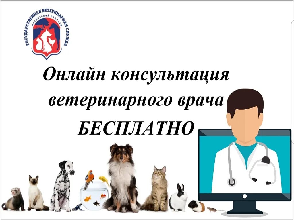 Консультация ветеринара.