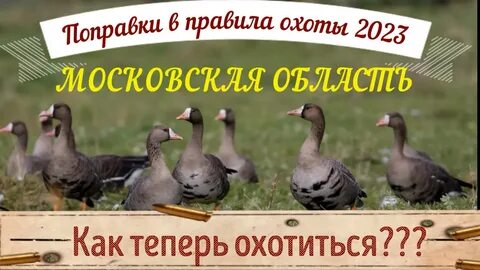 Правила охоты 2023