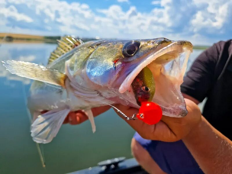 акватория спиннинга