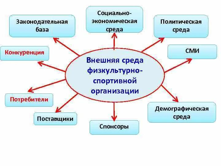 Внешняя среда спортивной организации. Внутренняя и внешняя среда спортивной организации. Внешняя и внутренняя среда физкультурно-спортивной организации. Внутренняя среда спортивной организации. Внутренняя среда школы