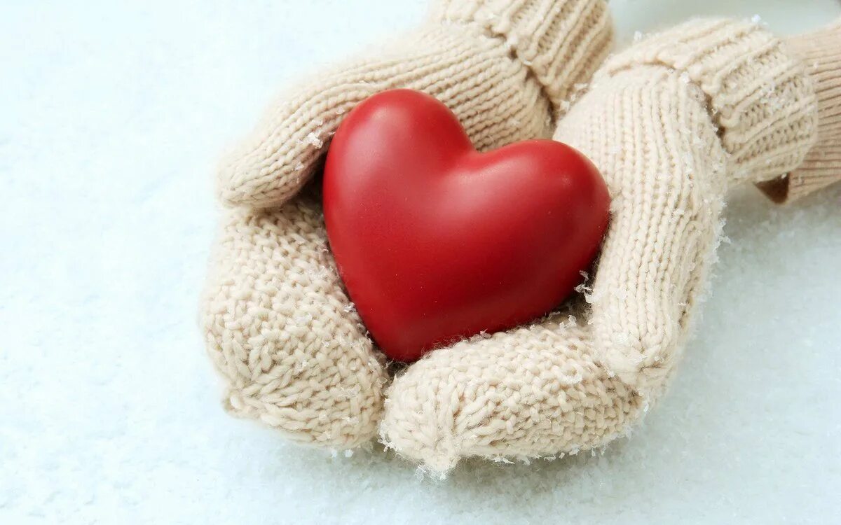 дарю тепло. вручение подарка. дарить подарки сток. зимний подарок в руках. подарок дарящий тепло.