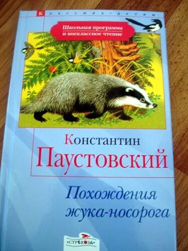 Кратко паустовский похождения жука носорога. Приключения жука-носорога Паустовский. К Г Паустовский похождения жука-носорога. Жук носорог Паустовский.