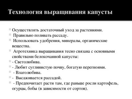 Выращивание капусты особенности