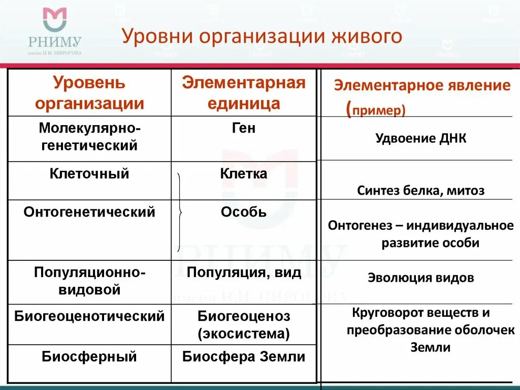 Назовите уровни организации многоклеточного организма