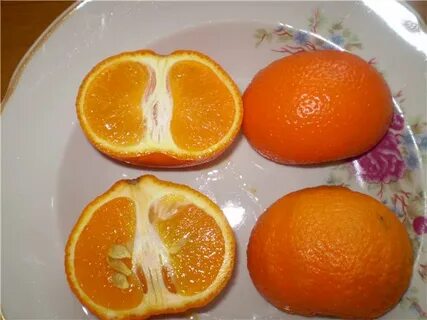 Совместимость апельсина