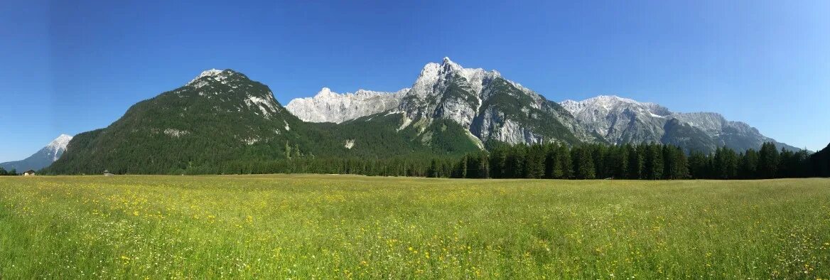 Длинная картинка. Горы панорама. Панорама природа. Природа горы панорама. Лес горы панорама.