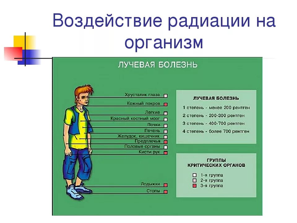 Нормы радиационной безопасности. Показатели радиационной безопасности. Норма радиационной безопасности человека. Правила радиационной безопасности. Группы критических органов