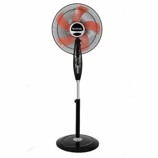 Fan special