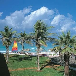 Lou lou beach отзывы