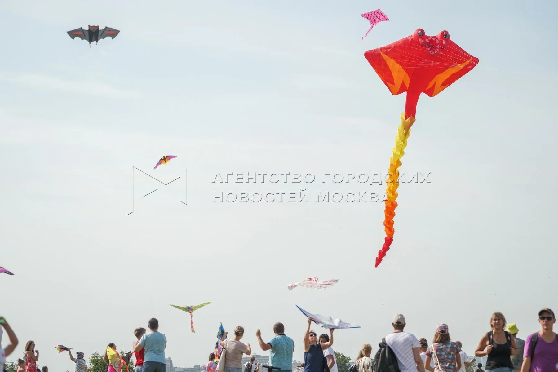 Пестрое небо 2024. Запуск воздушных змеев. Фестиваль пестрое небо в царицыно. Фестиваль воздушных змеев «пёстрое небо». Фестиваль воздушных змеев.