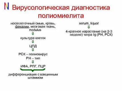 Полиомиелит микробиология