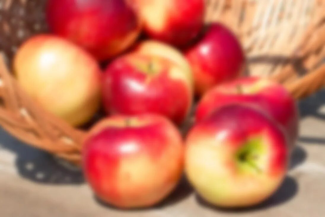 Яблоки ред делишес фото. Приснилось яблоко красное. Яблоки эстетика. Видеть во сне красные яблоки. Спелое и гнилое яблоко.