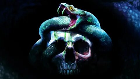 HD desktop wallpaper: Dark, Snake, Skull download free picture #672444
