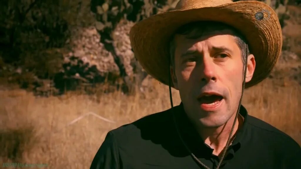 проклятие гробницы 2. саканский проклятие гробницы. тутанхамон проклятие гробницы фильм. тутанхамон проклятие гробницы фильм. тутанхамон проклятие гробницы фильм 2006 дэнни.