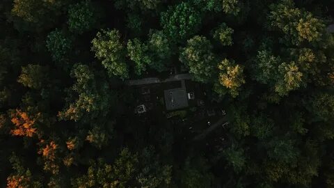 Вид сверху отзывы