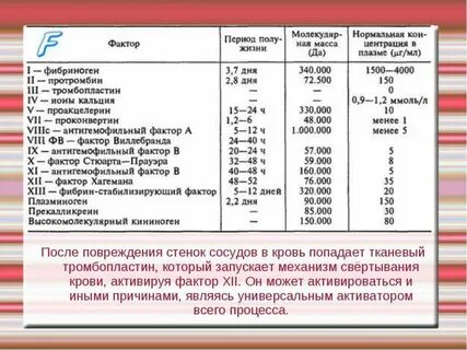 Время свертывания норма у женщин