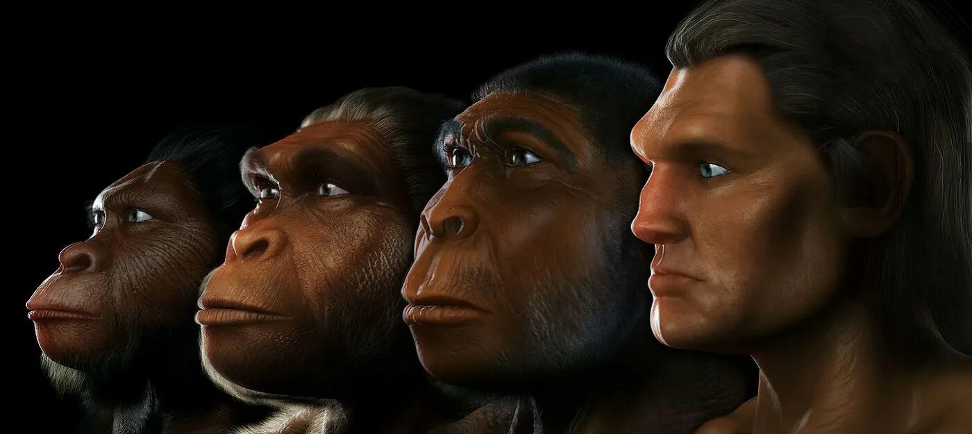 Группа 1000 лет. Группа 1000 лет