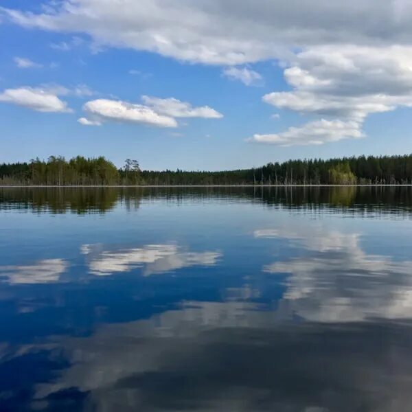 Погода светлое озеро. Озеро светлое Ульяновская область Николаевский район. Озеро светлое Воскресенск. Светлое озеро Лопатинский. Озеро светлое Кузнецкий район.