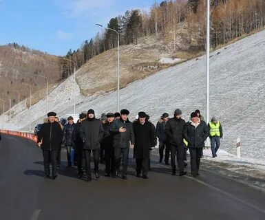 Дорожник слюдянка