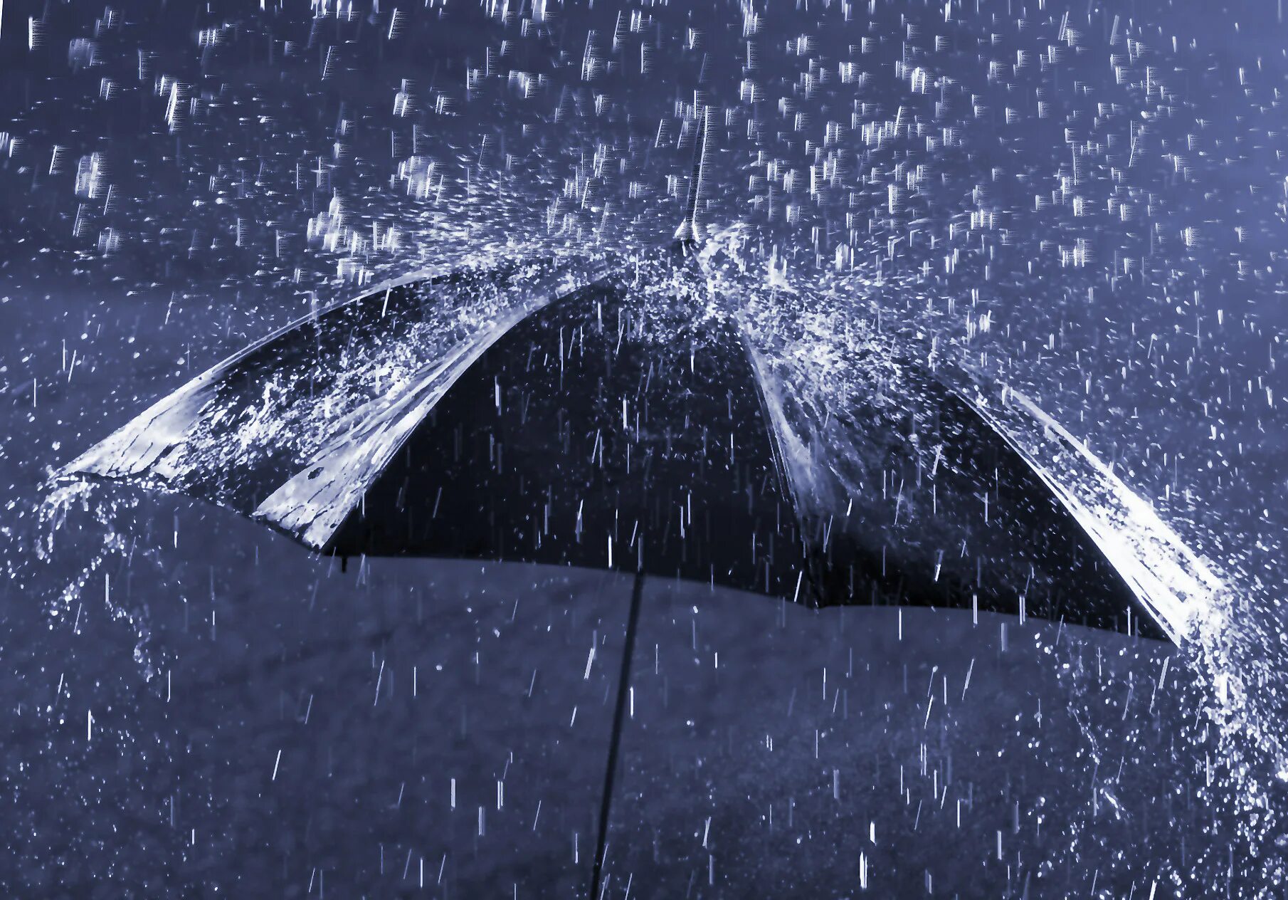 сгибаемая ударами ветра и дождя