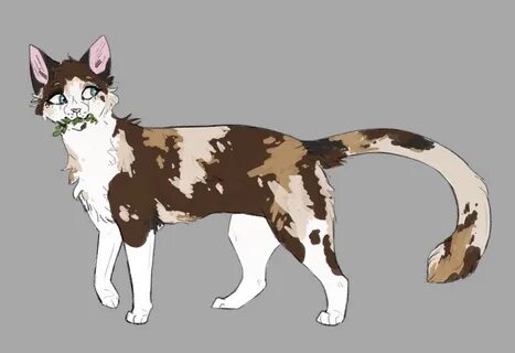 Коты воители ос