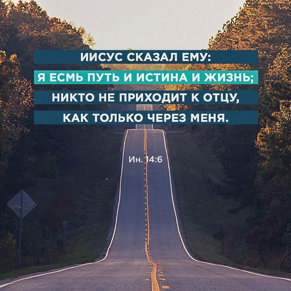 Я есмь истина и жизнь. Я есмь путь и истина и жизнь. Я есть путь истина и жизнь. Я есмь путь. Иисус сказал ему: я есмь путь и истина и жизнь.