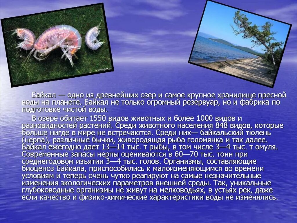 В каком озере обитает