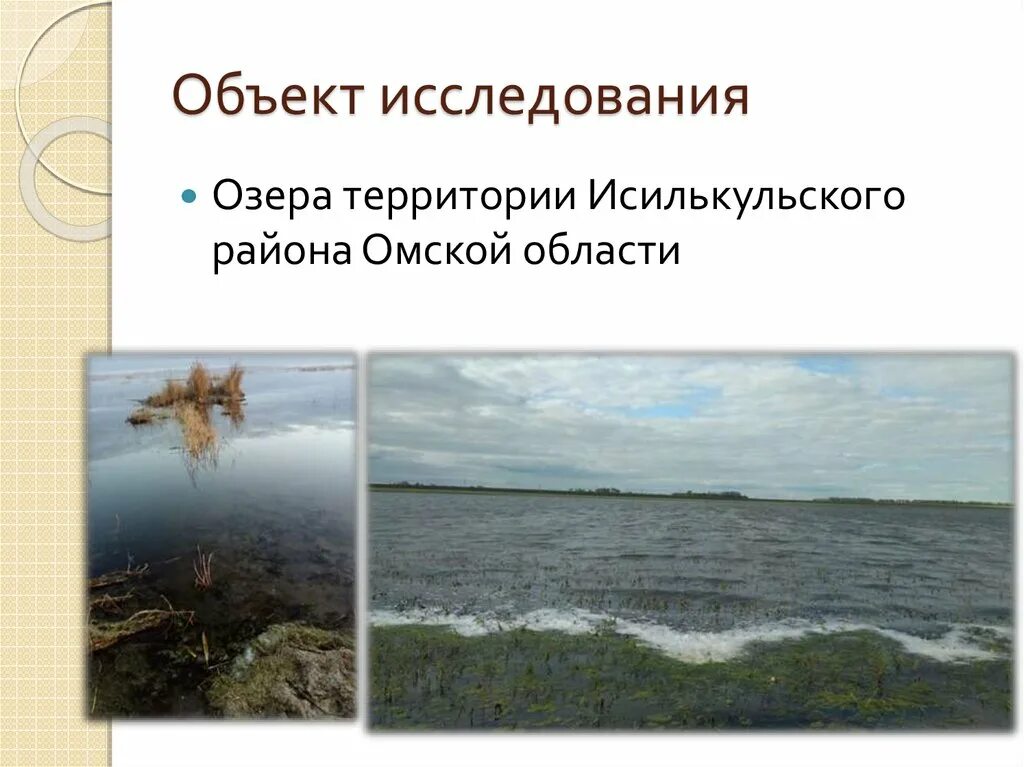 Исилькульский район озера. Исследование озер. Изучение озера. Водяное Исилькульский район. Исследовательская работа озеро