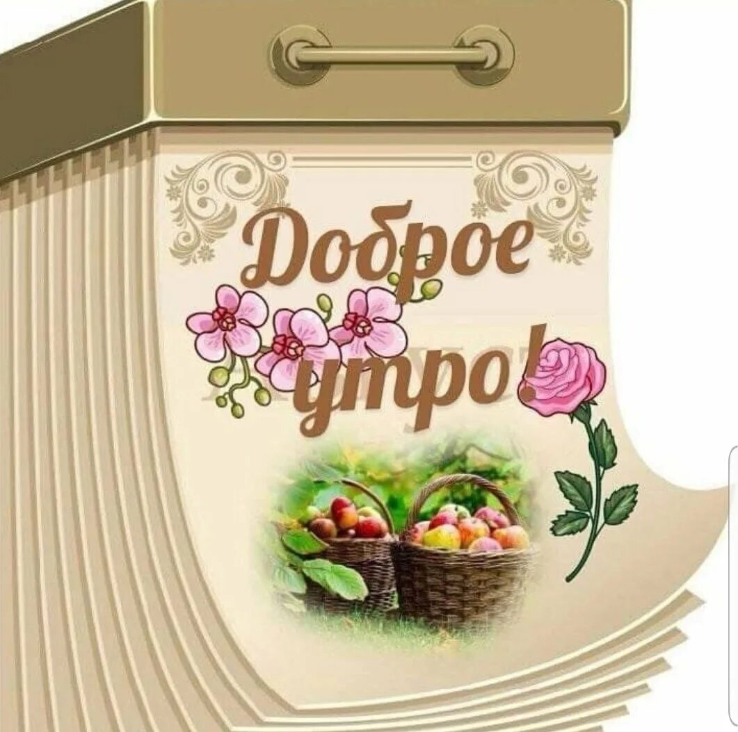 Доброе утро крестная. Стикеры с добрым утром. Открытки с добрым. Стикерсы с добрым утром. Необычные открытки с добрым утром.