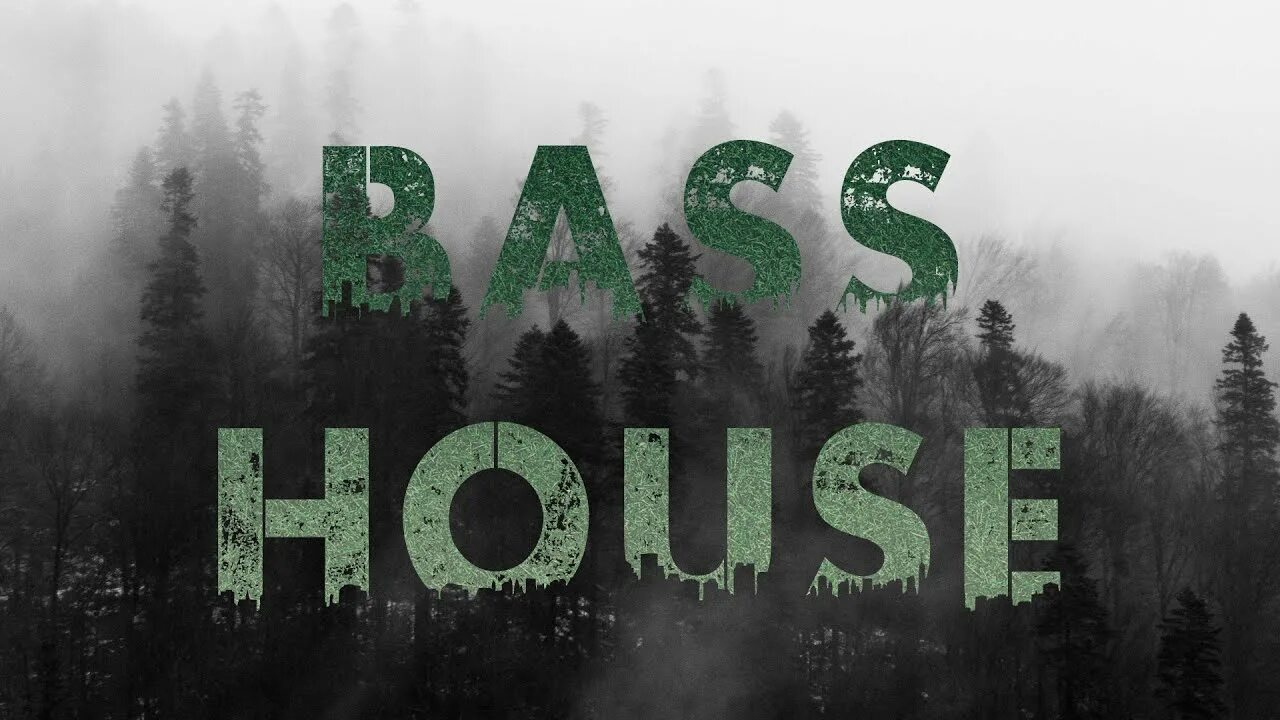 Bass house party. Bass house remixes. Bass house. Bass house обложка. Bass house remixes.