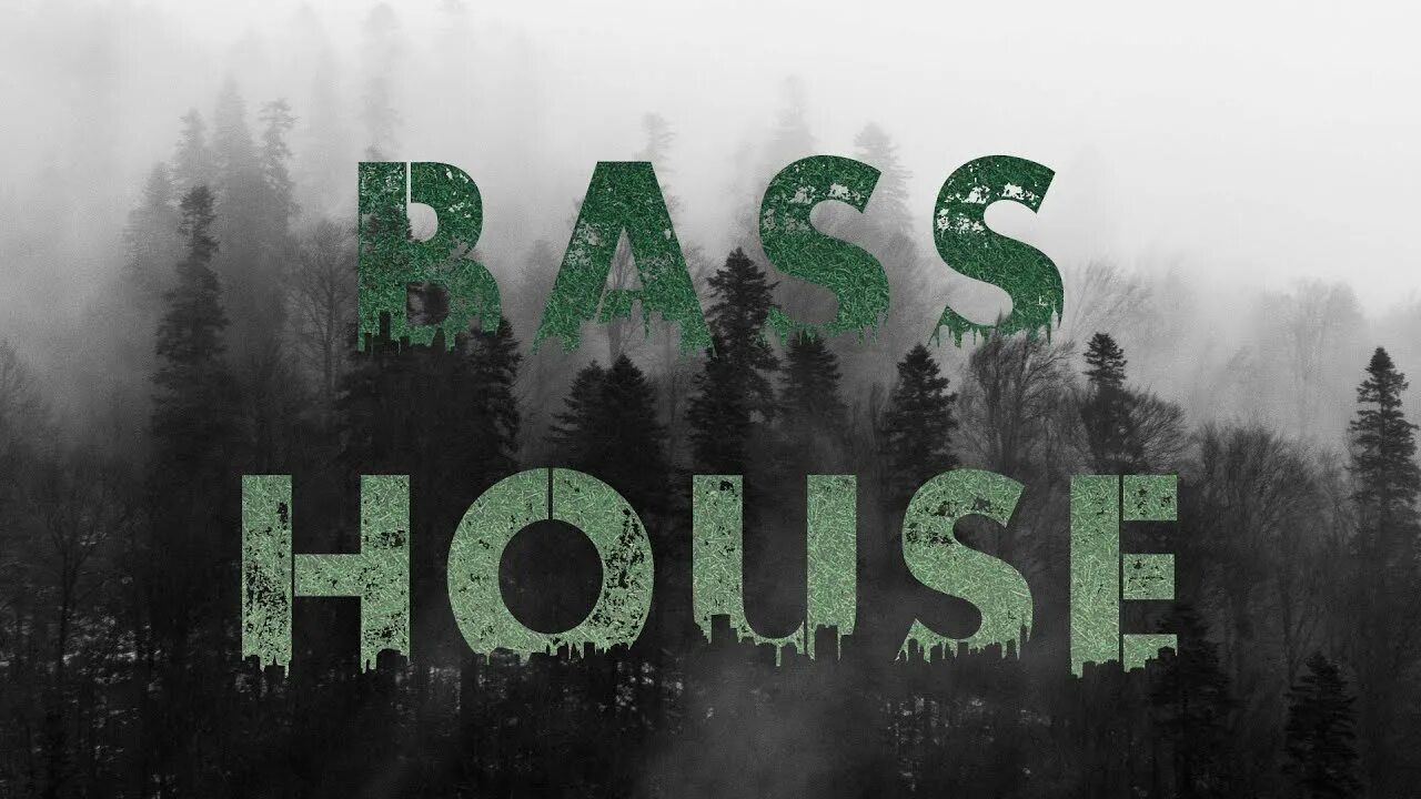 Басс Хаус. Басс Хаус Хаус. Басс Хаус 2021. Bass House обложка. House bass music