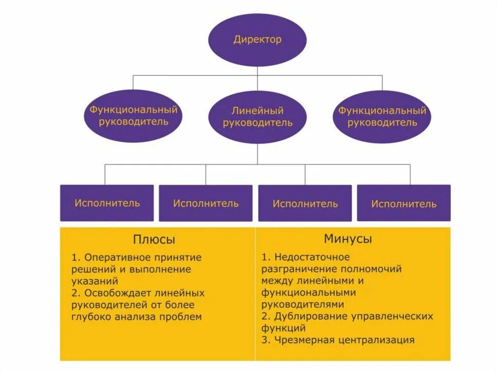 Линейные и функциональные руководители. Типы организационных структур презентация. Руководитель проекта структура. Функциональные руководители примеры. Руководитель и исполнитель.