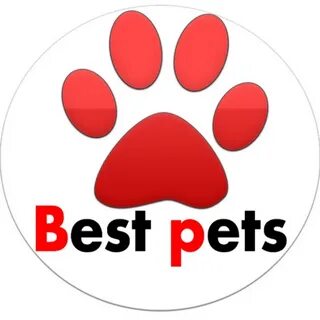 Best pet