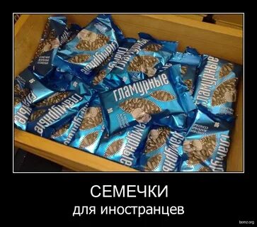 Принеси семечки