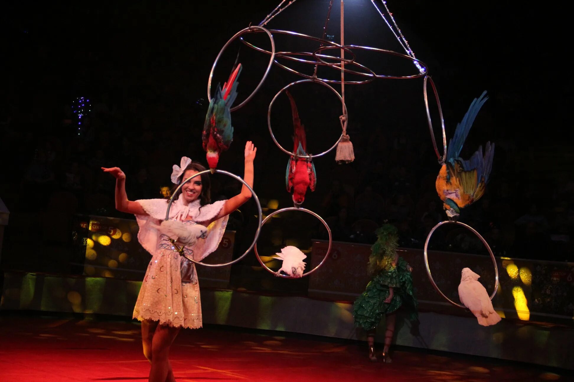 цирк новый год в стране чудес курск