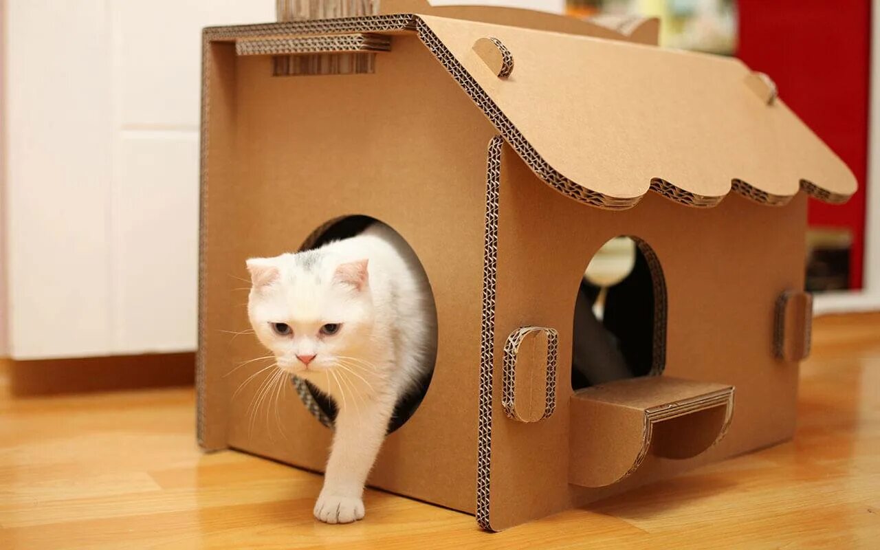 Домик для кошек. Домик для кошки из картонной коробки. Дом для кошки из картона. Домик для кота из картона. Домик для кошки своими руками из коробки