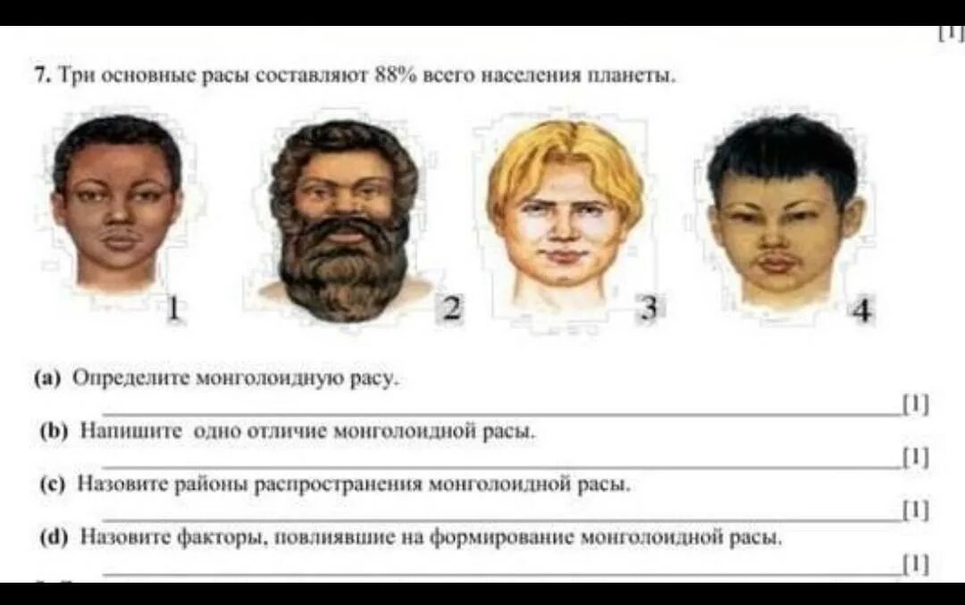 Человеческие расы. Расы человечества. Народы земли география. Размещение европеоидной расы. 4 расы людей на земле.