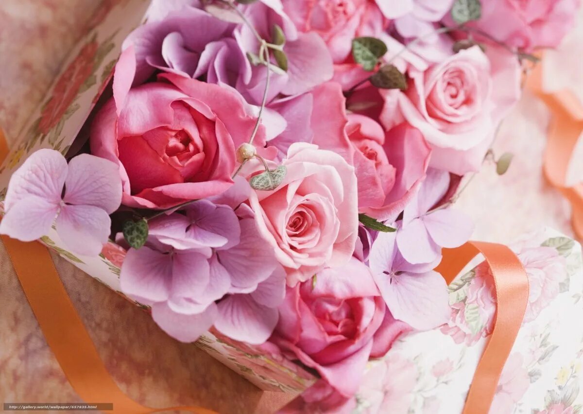 Нежный букет картинки красивые. Красивые нежные цветы. Нежный букет. Шикарный букет цветов. Розовый букет.