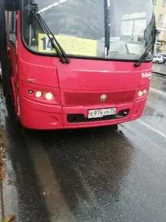 Автобус 39 2024 год