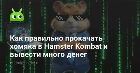 Как правильно прокачивать хомяка