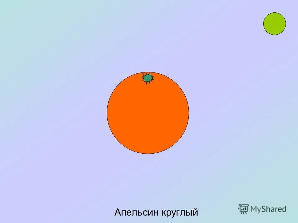 Предметы похожие на математику. Предметы похожие на круг. На что похож круг. Предметы похожие на круг картинки. Предметы похожие на круг для дошкольников.